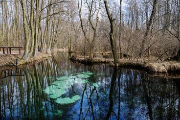 Łódzkie zachwyca. Niebieskie źródła